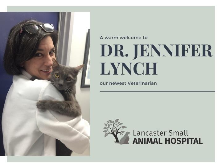 Welcome Dr. Jennifer Lynch!