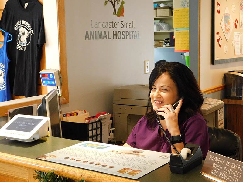 Lancaster Small Animal Hospital Payment Options