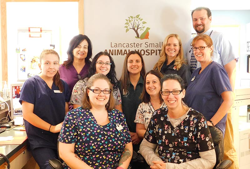 Lancaster Small Animal Hospital | Bowmansville NY Pet Hospital